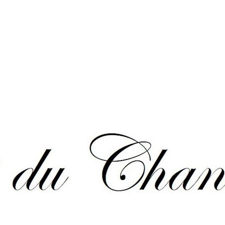 Logis Du Chandelier Le Puy-en-Velay 외부 사진