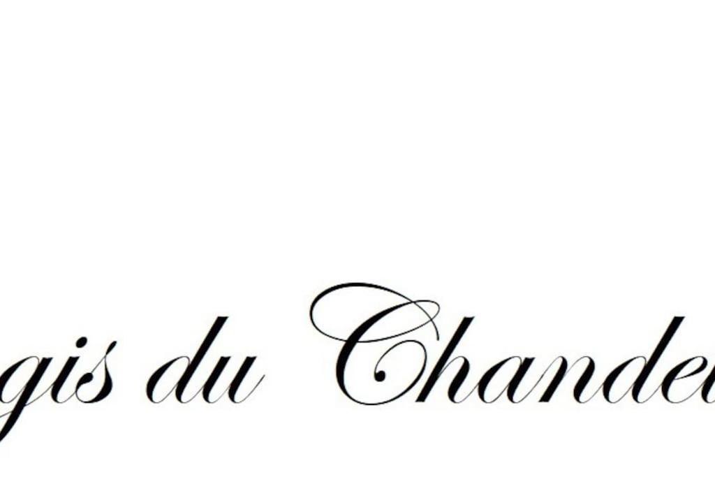 Logis Du Chandelier Le Puy-en-Velay 외부 사진